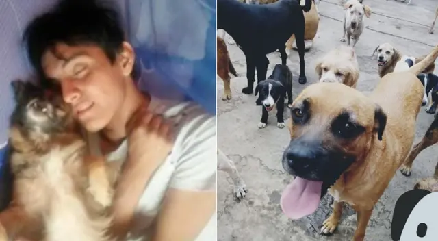 Edwin Ramírez Neyra fundó un albergue en Puente Piedra donde fueron rescatados muchas mascotas que fueron abandonadas en las calles.