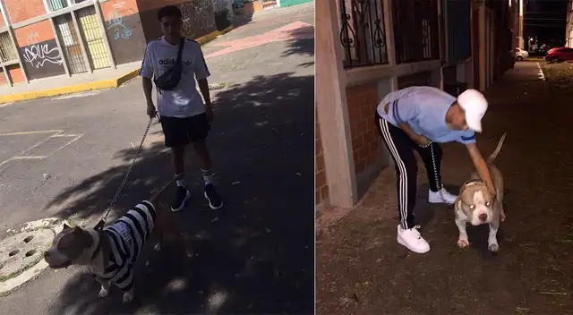 Erik Gucci con su engreído. Erik Gucci con su engreído.