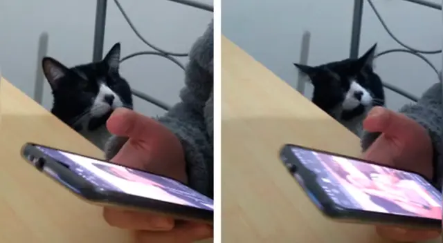 La tierna escena cautivó a los usuarios en las redes sociales.