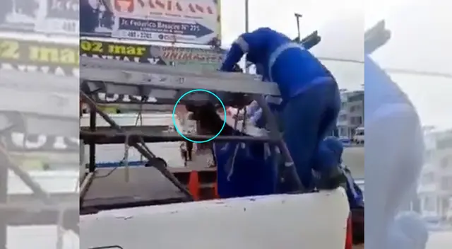 Denuncian a serenos de Lima por maltrato animal.