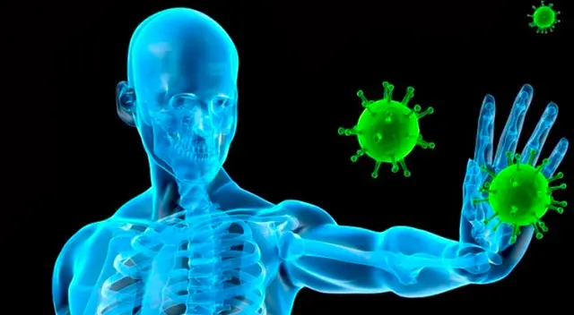 Inmunidad mediada por células T. Inmunidad mediada por células T.