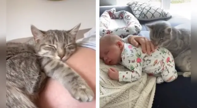 El conmovedor hecho se volvió viral en las redes sociales. El conmovedor hecho se volvió viral en las redes sociales.