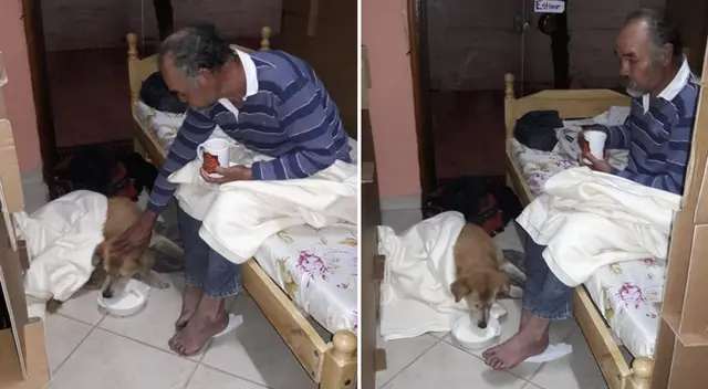 El anciano pidió que acepten a su mascota en el refugio. El anciano pidió que acepten a su mascota en el refugio.