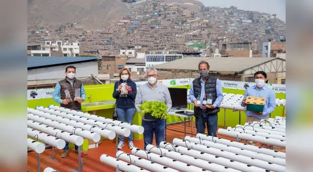 El Agustino inician curso de hidroponía El Agustino inician curso de hidroponía