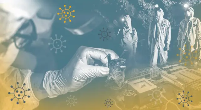 ¿Científicos en China descubrieron un virus cercano a COVID-19 hace siete años?