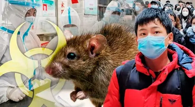 Peste negra amenaza con ciudad china de Mongolia Interior.