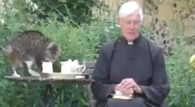 Gatito es viral por hacer de las suyas en plena misa.