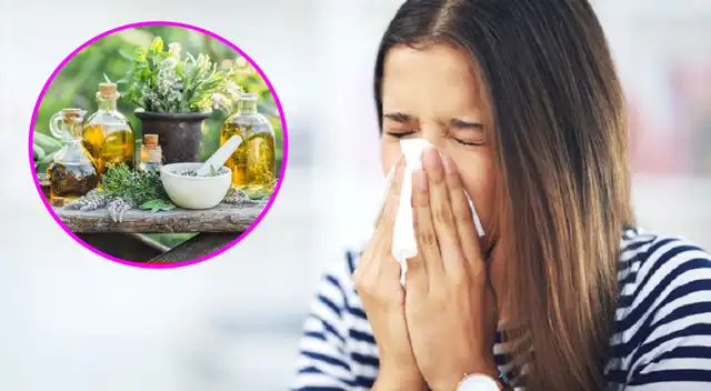 Conoce las mejores plantas para prevenir la alergia estacional.