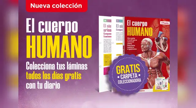 El cuerpo humano
