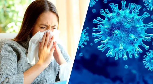 Estudio demuestra que la alergia no aumenta el riesgo de contraer covid-19 Estudio demuestra que la alergia no aumenta el riesgo de contraer covid-19