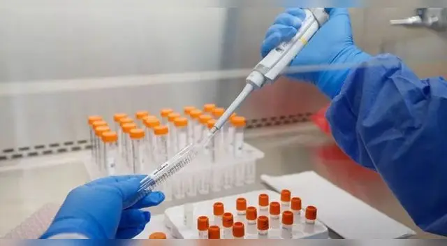 Este proyecto ha sido creado por especialistas de la Universidad Privada Cayetano Heredia (UPCH). Este proyecto ha sido creado por especialistas de la Universidad Privada Cayetano Heredia (UPCH).