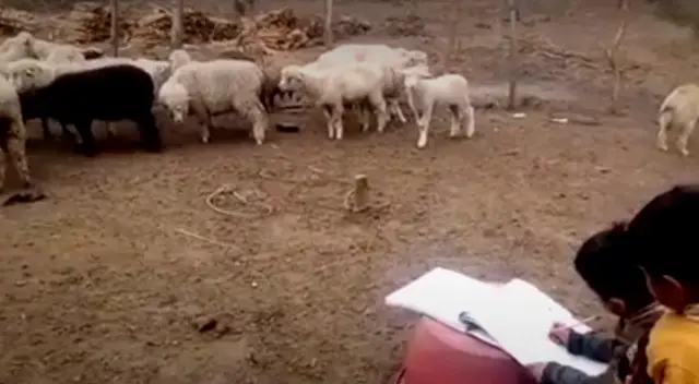 Niños de Huánuco continúan estudiando durante la pandemia.