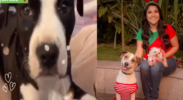 Tula Rodríguez incentiva a sus fans a adoptar mascotas.