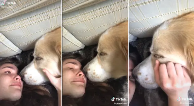 El desgarrador momento fue grabado por la joven en un video de TikTok. El desgarrador momento fue grabado por la joven en un video de TikTok.