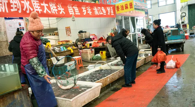 El comercio ilegal de especies es un riesgo para la salud humana, alertó la ONU. El comercio ilegal de especies es un riesgo para la salud humana, alertó la ONU.