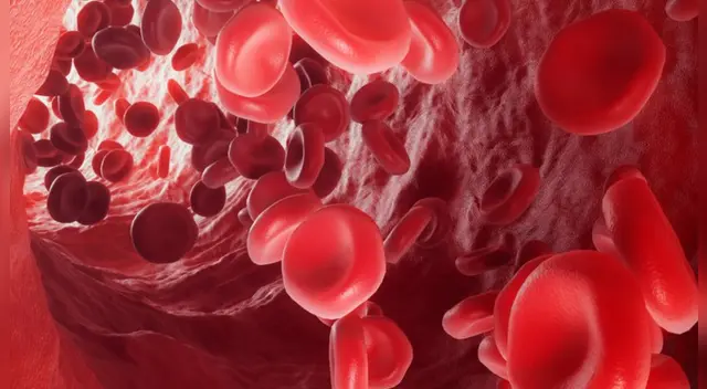 El coronavirus ha matado más de medio millón de personas en el mundo. El coronavirus ha matado más de medio millón de personas en el mundo.