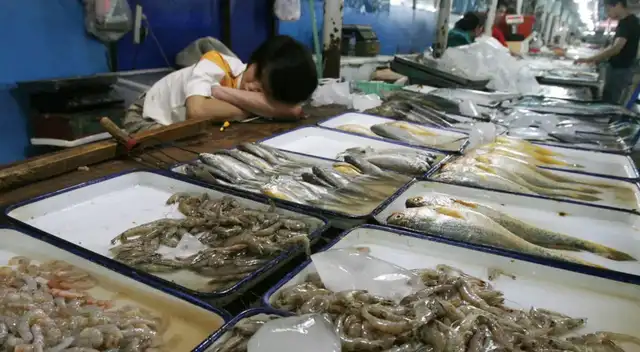 China pidió a las compañías ecuatorianas que destruyan los productos elaborados después del 12 de marzo.