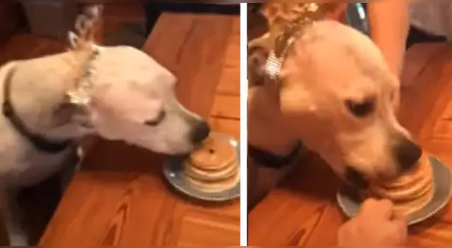 La cómica escena se volvió tendencia en diversos países del mundo.