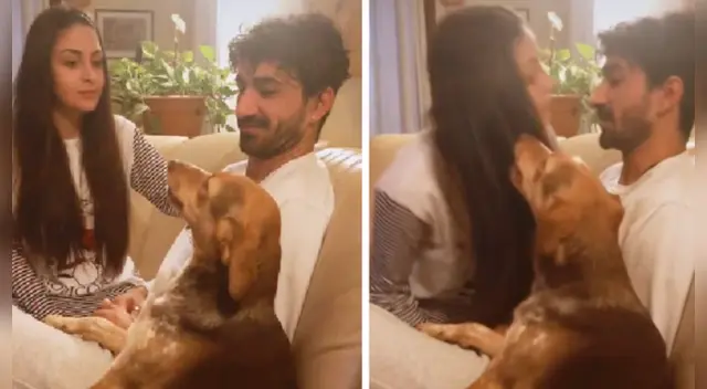 La escena de 'celos' del perro se volvió tendencia en las redes sociales.