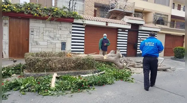 La sanción establecida fue de 1,290 soles. La sanción establecida fue de 1,290 soles.