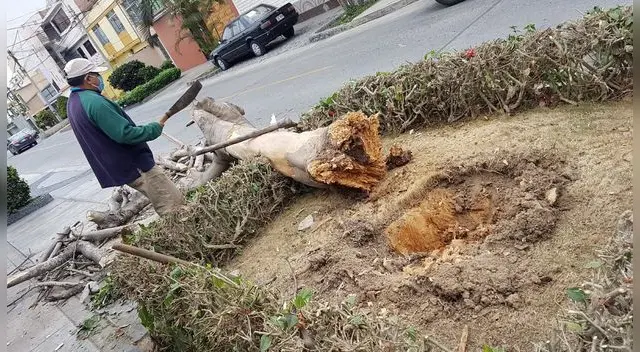 La sanción establecida fue de 1,290 soles. La sanción establecida fue de 1,290 soles.