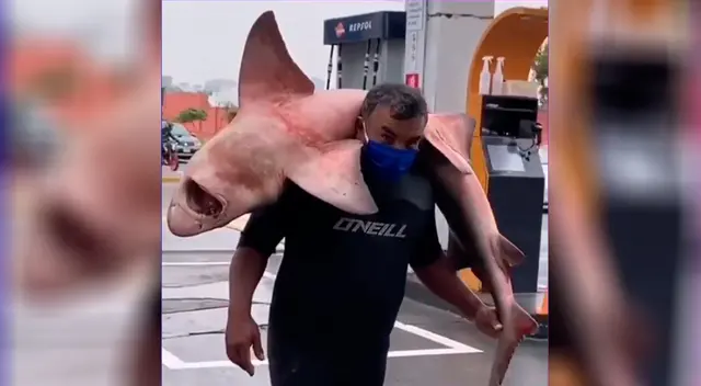 Imágenes del pescador con el tiburón bebé.