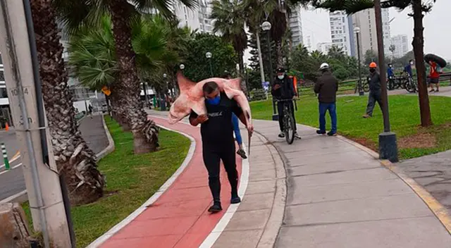 Imágenes del pescador con el tiburón bebé.
