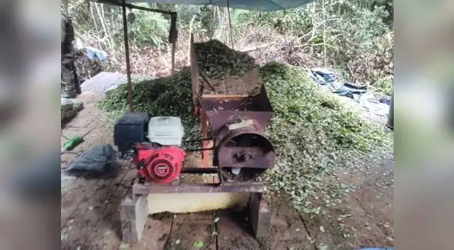 Tras el operativo se realizó la destrucción e incineración de las viviendas y el laboratorio clandestinos Tras el operativo se realizó la destrucción e incineración de las viviendas y el laboratorio clandestinos