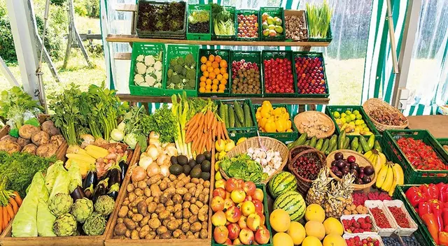 Come bien sin dañar al planeta.