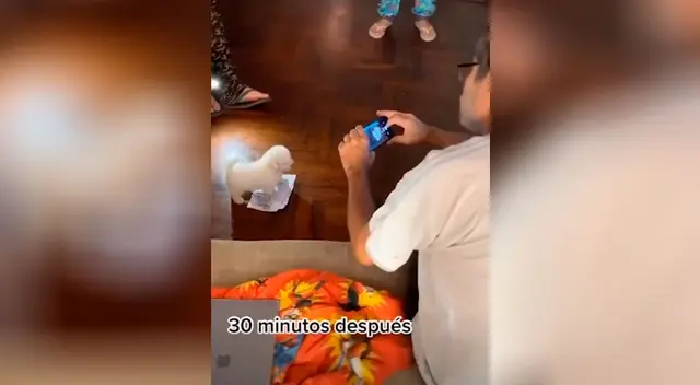 Hombre no quería mascotas en su casa hasta que le presentaron una y se enamoró Hombre no quería mascotas en su casa hasta que le presentaron una y se enamoró