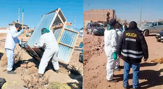 Asesinan a un anciano en Juliaca Asesinan a un anciano en Juliaca