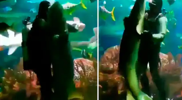 Hombre es tendencia por bailar con tiburón. Hombre es tendencia por bailar con tiburón.