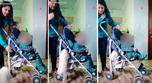 Perrito se rehúsa a quedarse en solo en su casa y tiene adorable reacción Perrito se rehúsa a quedarse en solo en su casa y tiene adorable reacción