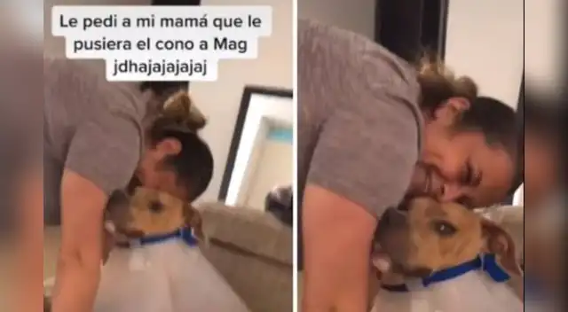 El cómica escena causó furor en las redes sociales. El cómica escena causó furor en las redes sociales.