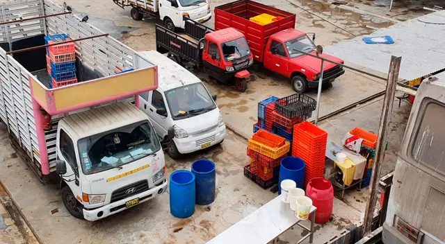 Agentes del área de fiscalización de la Municipalidad de Lima, se apersonaron hasta el local para realizar el peritaje y las indagaciones correspondientes. Agentes del área de fiscalización de la Municipalidad de Lima, se apersonaron hasta el local para realizar el peritaje y las indagaciones correspondientes.