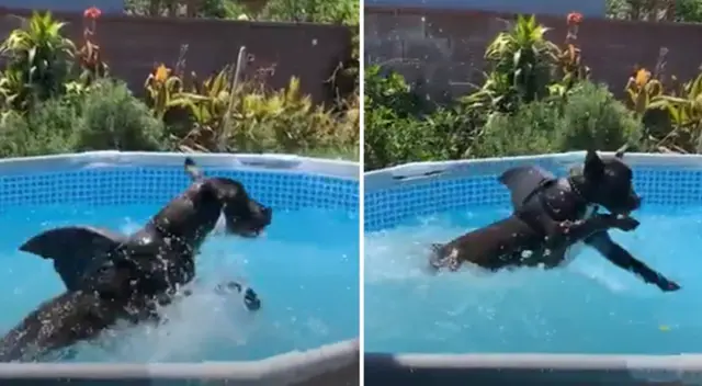 Miles de personas en Facebook quedaron sorprendidos.