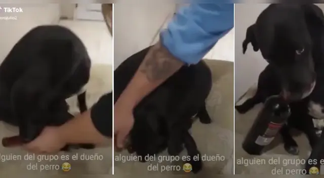 La cómica escena causó la risa de miles de internautas en las redes sociales. La cómica escena causó la risa de miles de internautas en las redes sociales.