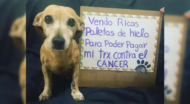 El pedido de ayuda para Becky se hizo viral en Facebook. El pedido de ayuda para Becky se hizo viral en Facebook.