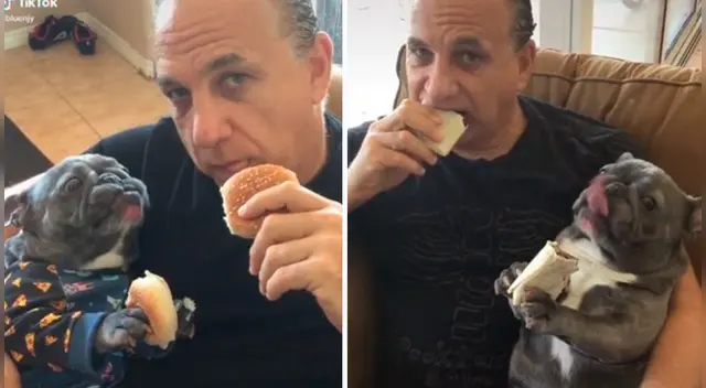 La escena del padre y el pequeño perro se robó el corazón de miles de usuarios en las redes sociales. La escena del padre y el pequeño perro se robó el corazón de miles de usuarios en las redes sociales.