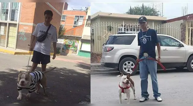 Un joven tuvo una simpática respuesta para defender a su perro pitbull de las personas que dicen que es agresivo. La historia se volvió viral en Facebook.