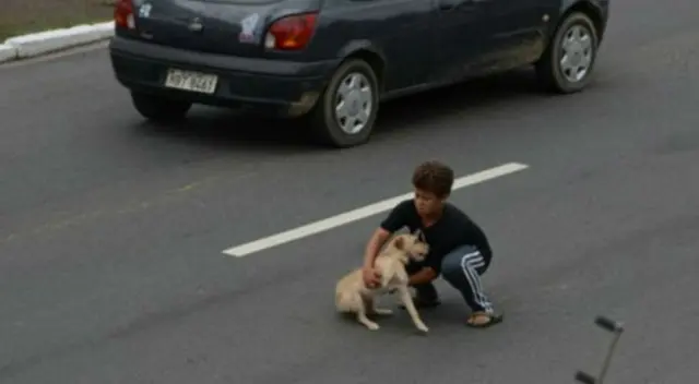 El niño cruzó la transitada vía para salvar al perrito.