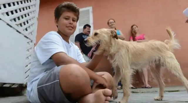 El niño cruzó la transitada vía para salvar al perrito.