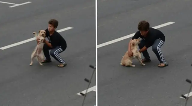 El niño cruzó la transitada vía para salvar al perrito.