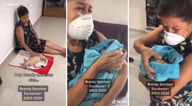 Los pulmones de la perrita colapsaron a causa de su avanzada edad. Los pulmones de la perrita colapsaron a causa de su avanzada edad.