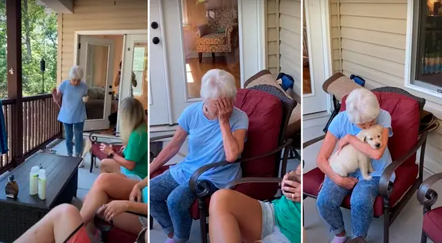 Anciana perdió a su fiel compañero y su familia decidió hacerle una sorpresa Anciana perdió a su fiel compañero y su familia decidió hacerle una sorpresa