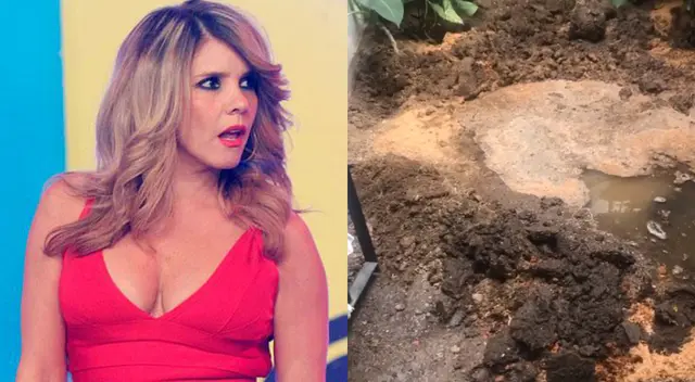 Sedapal explicó a qué se debió el aniego. Sedapal explicó a qué se debió el aniego.