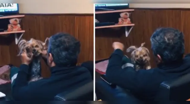 La peculiar escena ha causado furor en las redes sociales. La peculiar escena ha causado furor en las redes sociales.