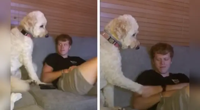 La divertida escena causó furor en las redes sociales.