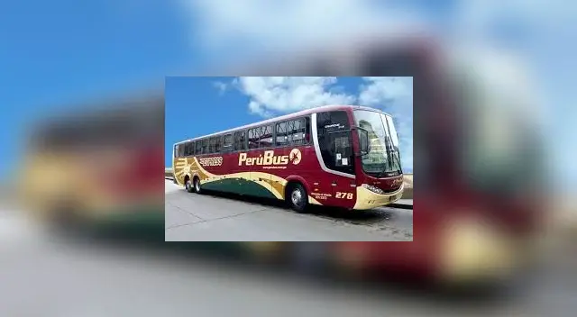 Empresa Soyuz se declara en quiebra y cierra sus puertas después de 38 años Empresa Soyuz se declara en quiebra y cierra sus puertas después de 38 años