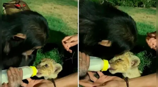 Mira el video viral que se propició por Facebook.